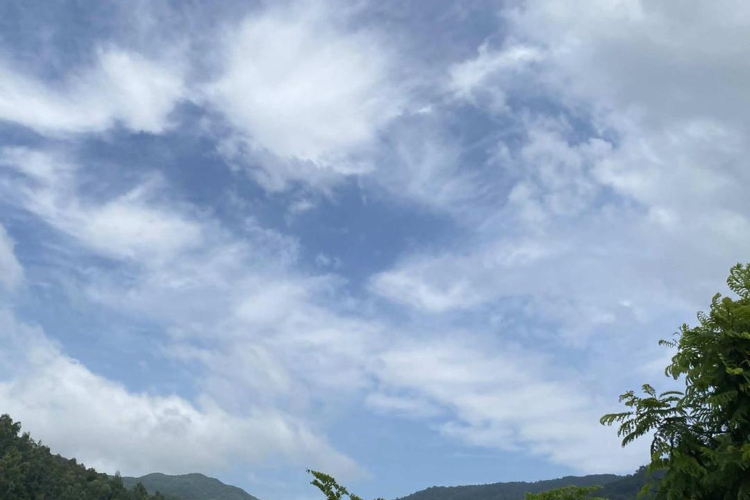 Photo of Outdoor in Tho Quang Beach