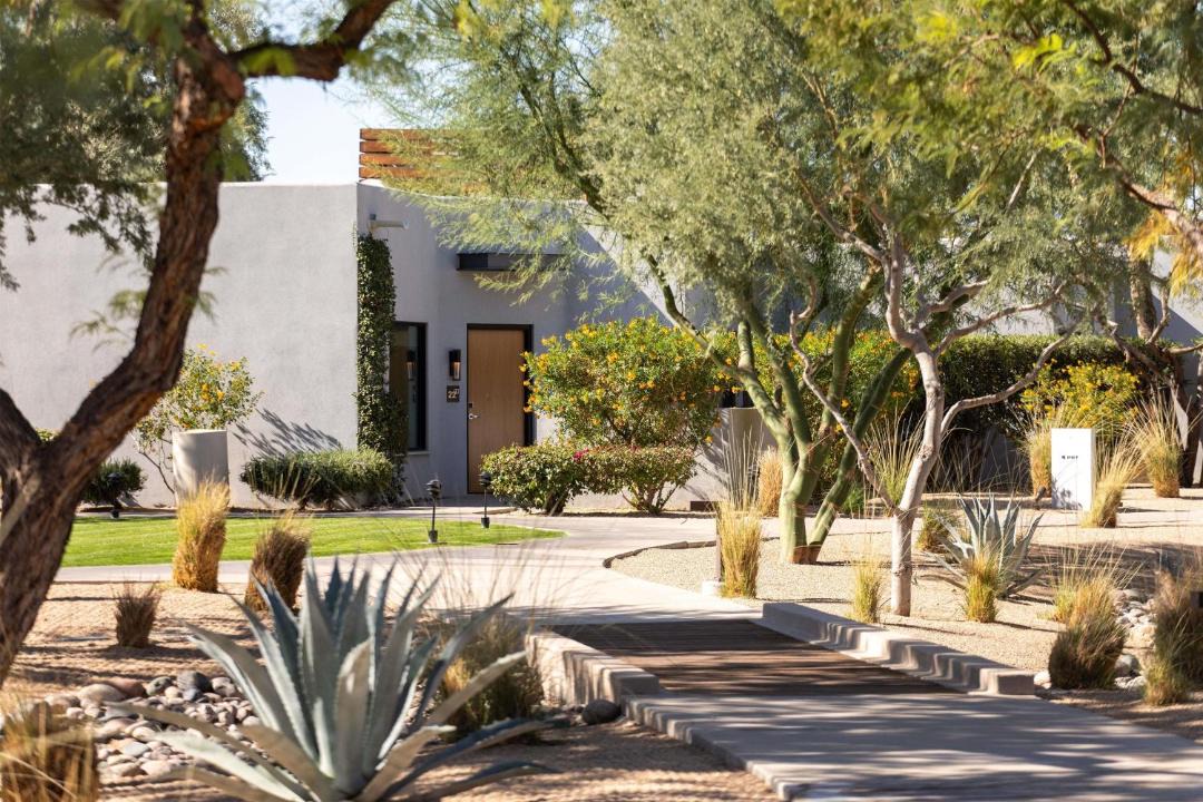 Photo of Others in South Scottsdale