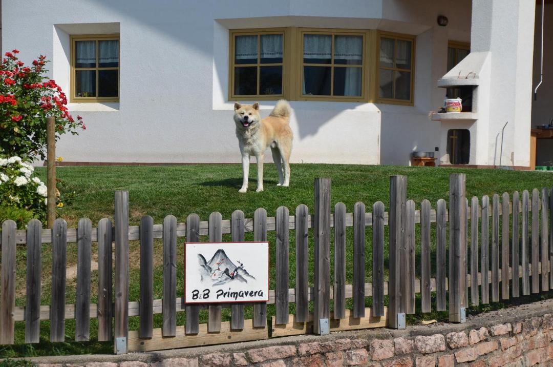 Photo of Others in Spormaggiore