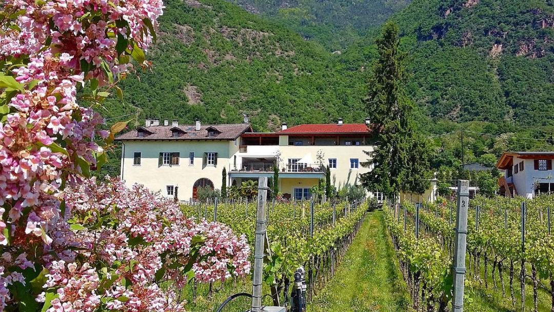 Photo of Others in Bolzano