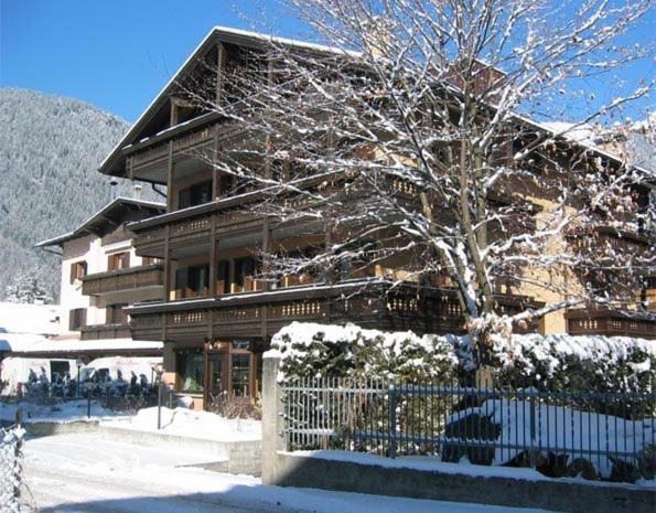 Photo of Others in Pinzolo