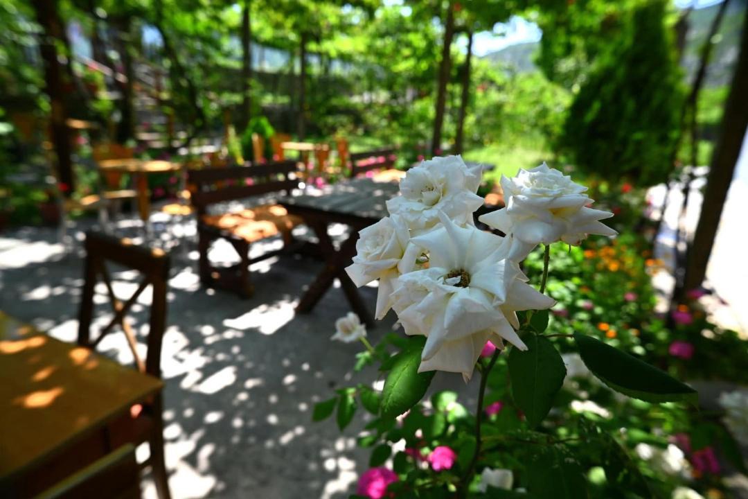 Photo of Others in Shkoder County