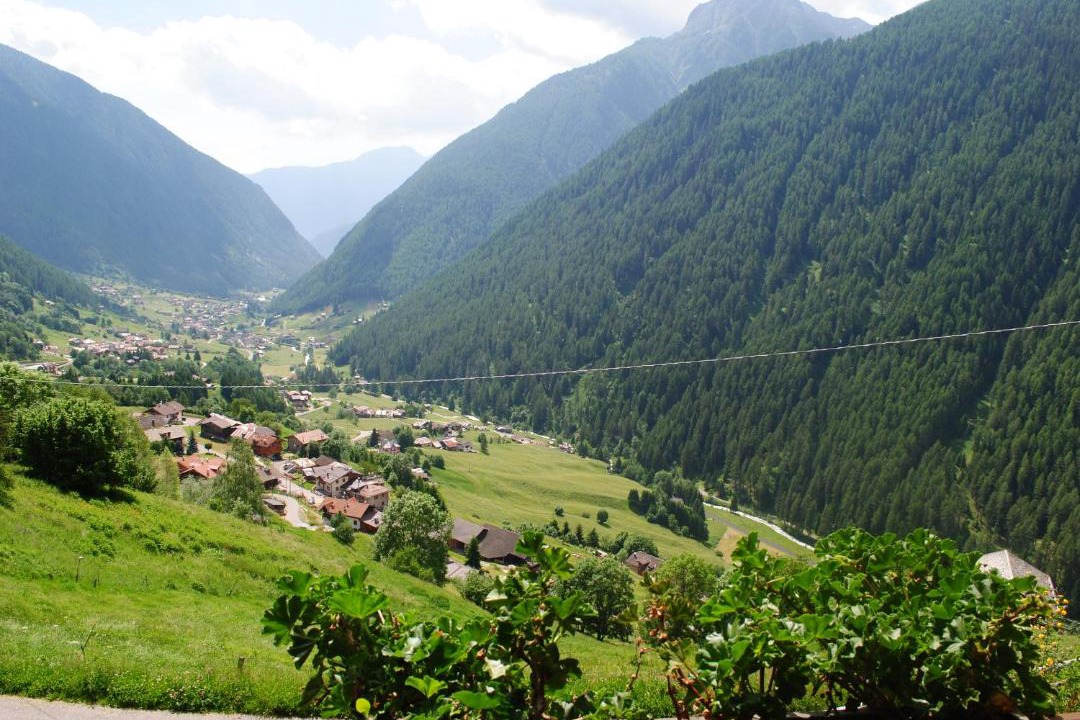 Photo of Outdoor in Rabbi