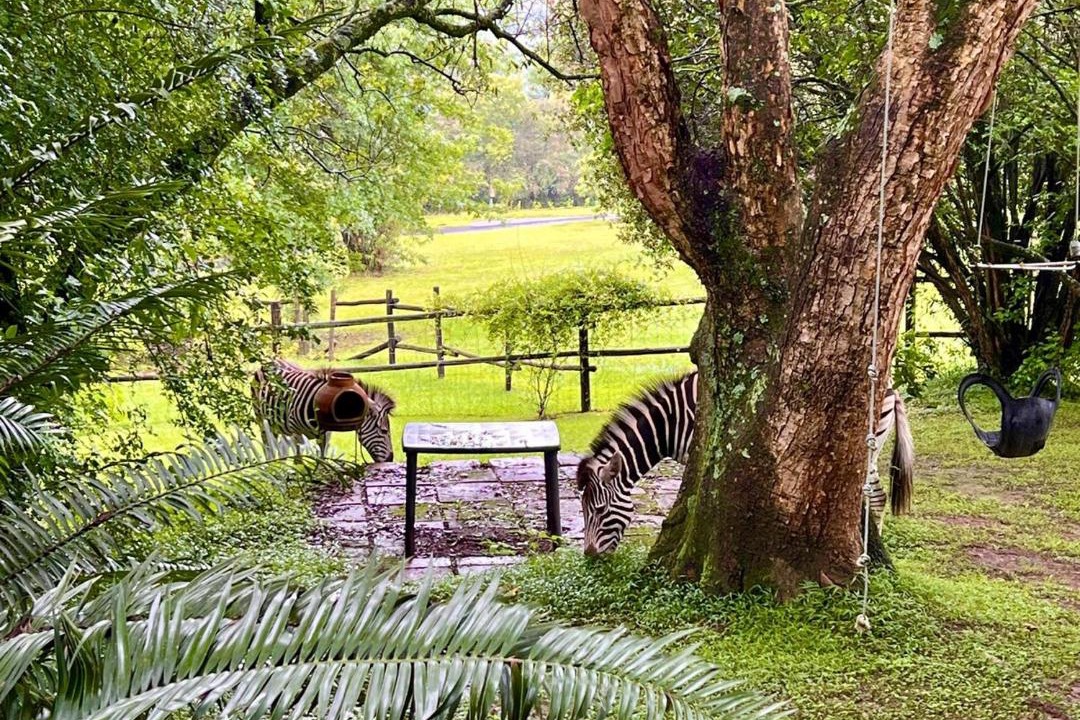 Photo of Others in Cathkin Park