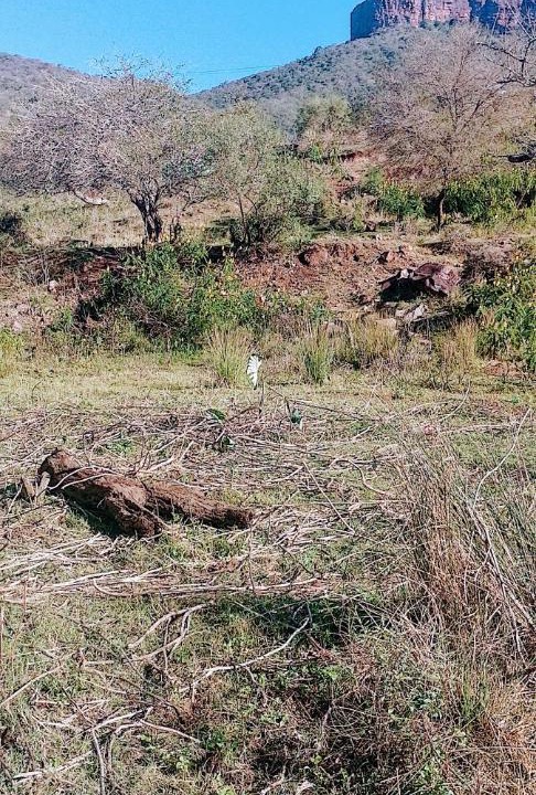 Photo of Others in Mkhambathini
