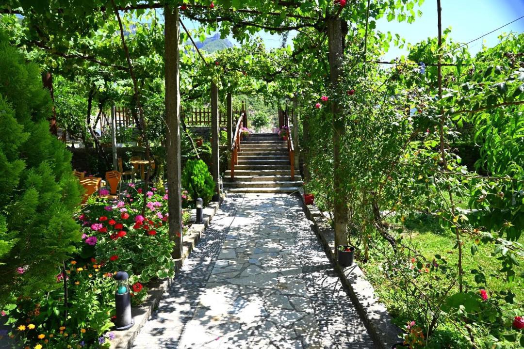 Photo of Others in Shkoder County