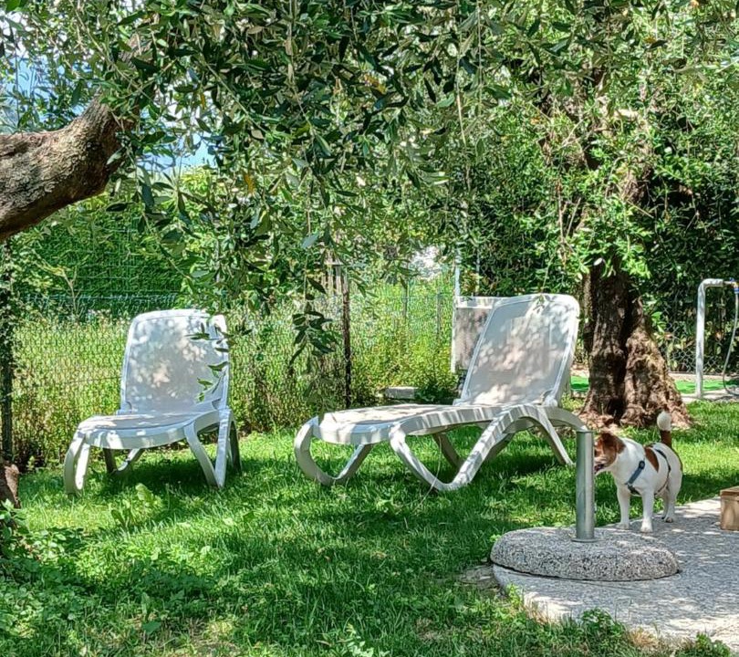 Photo of Others in Torbole sul Garda