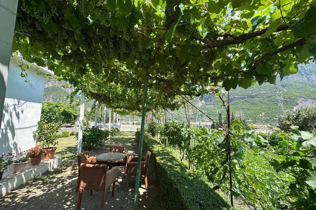 Photo of Others in Shkoder County