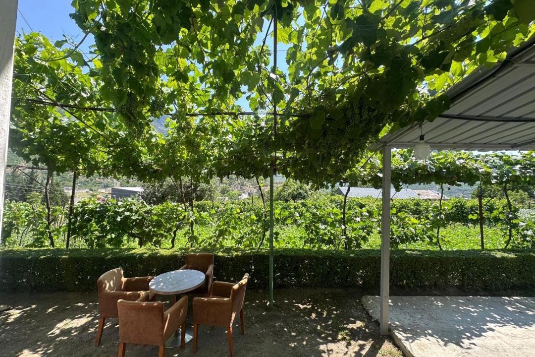 Photo of Others in Shkoder County