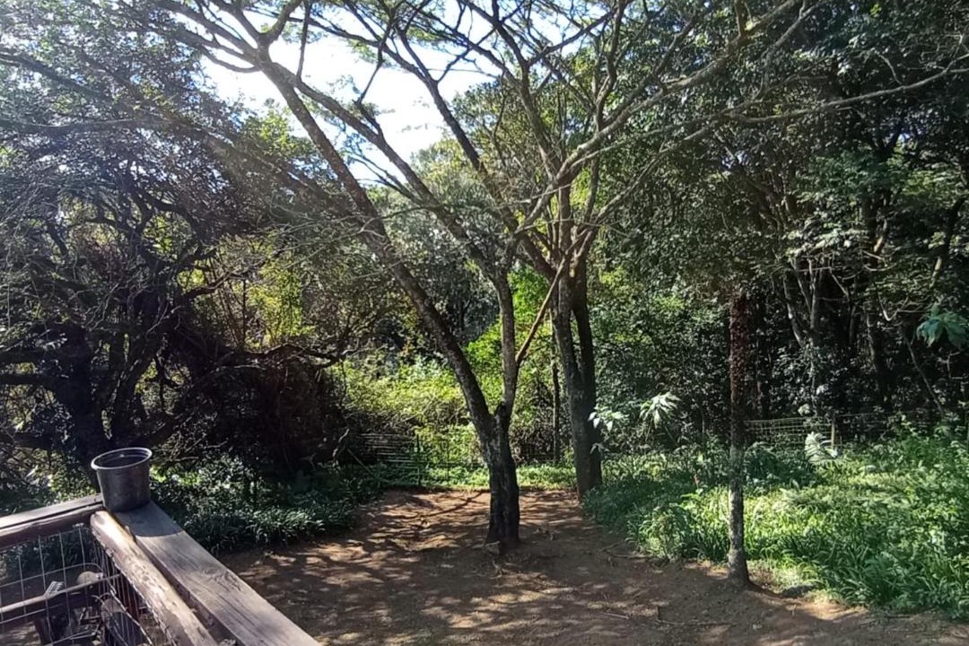 Photo of Others in uMlalazi