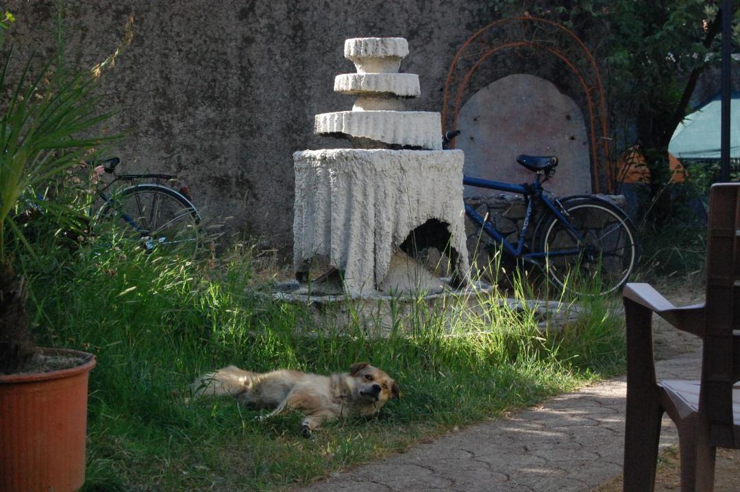 Photo of Others in Shkoder