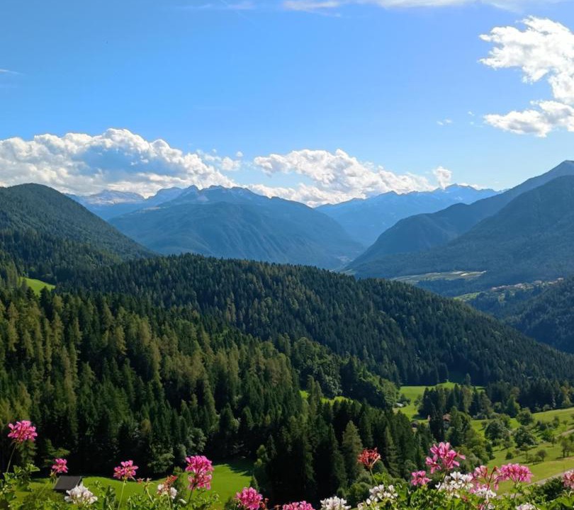 Photo of Others in Lauregno