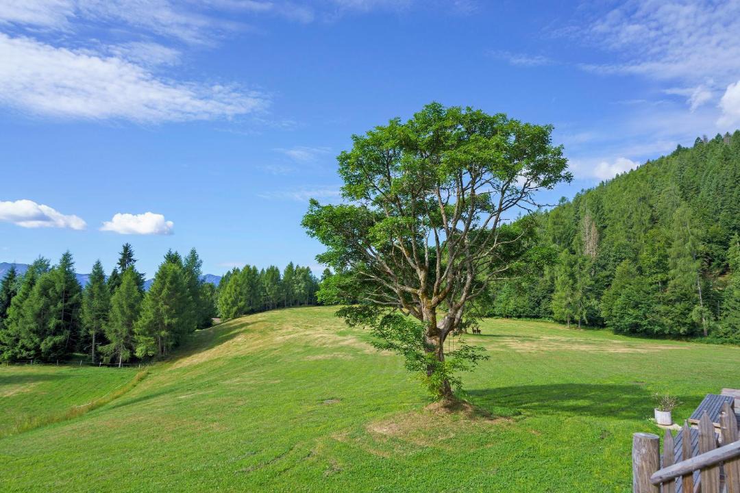 Photo of Others in Ronchi Valsugana