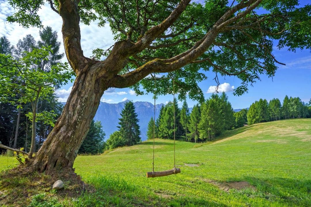 Photo of Others in Ronchi Valsugana