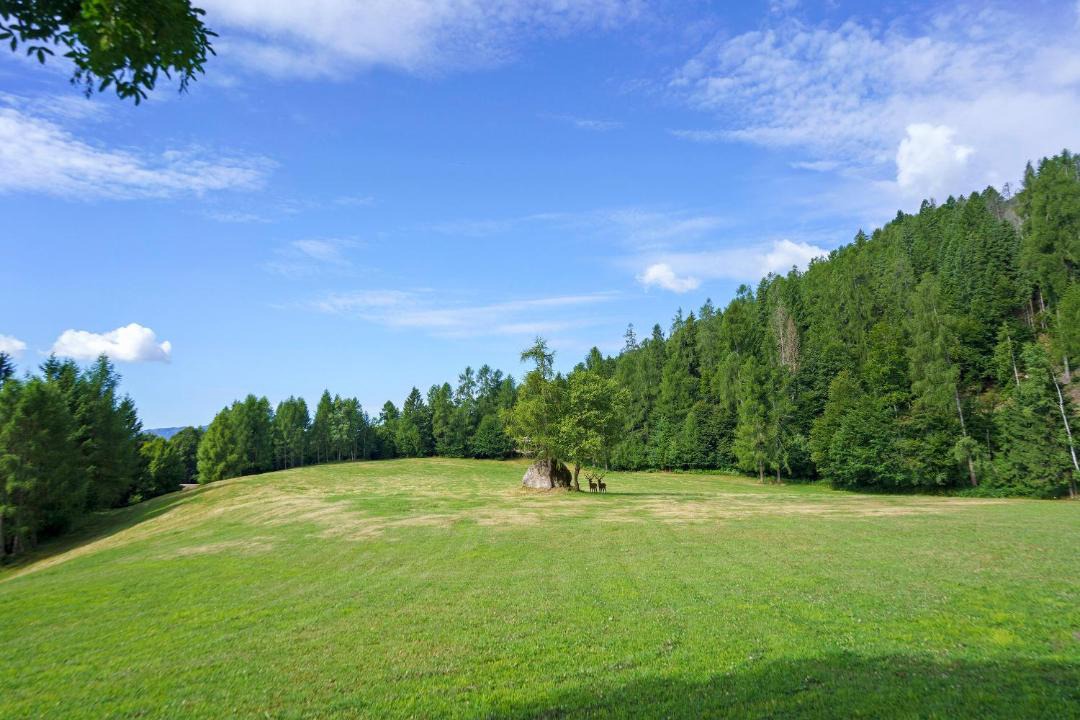 Photo of Outdoor in Ronchi Valsugana