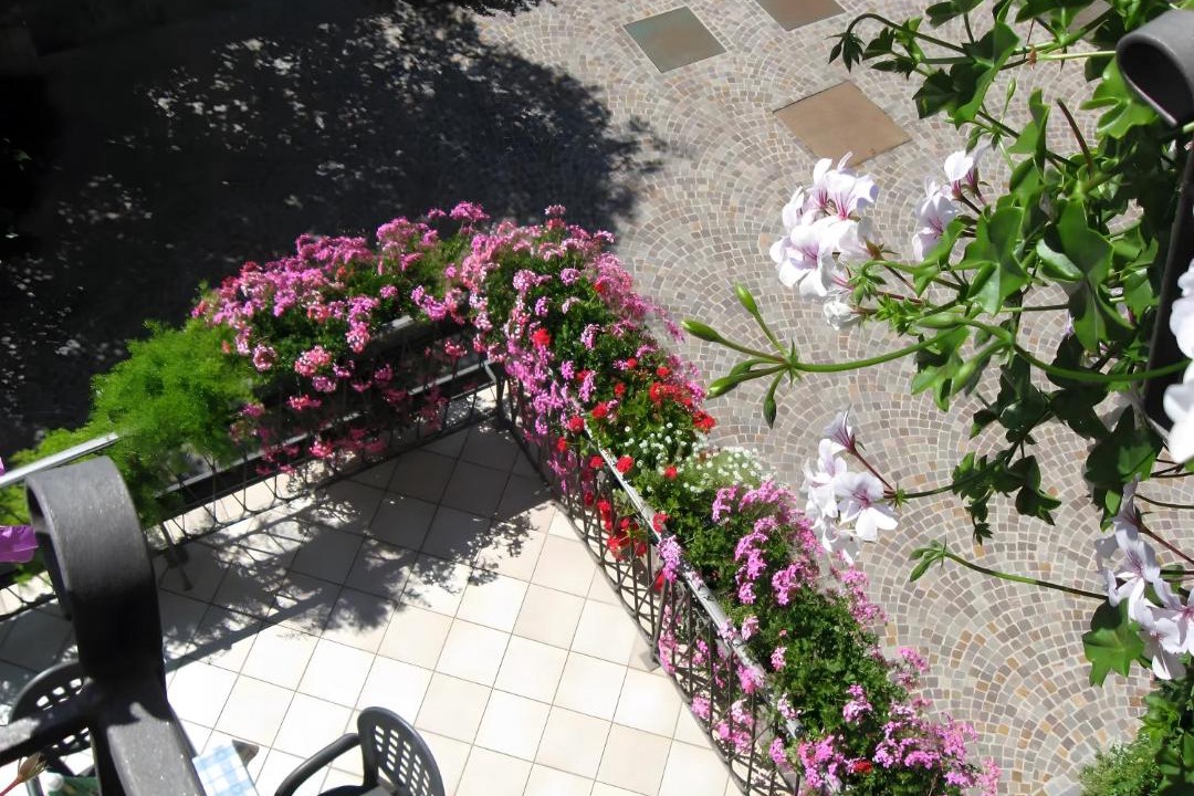 Photo of Patio Balcony in Tassullo