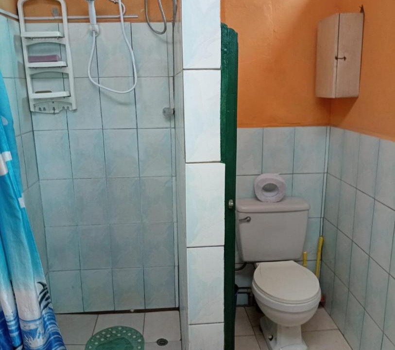 Photo of Bathroom in Chosica