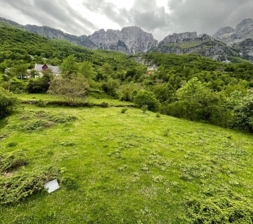 Photo of Others in Shale