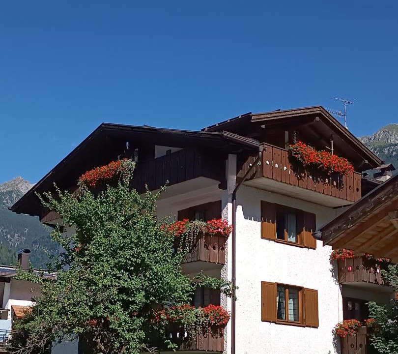 Photo of Others in Pinzolo