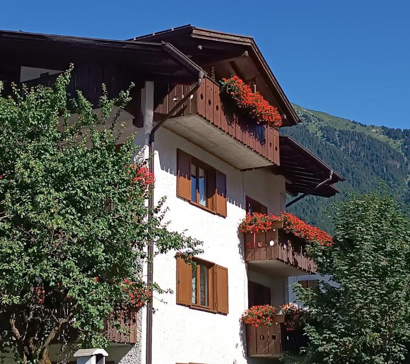 Photo of Others in Pinzolo