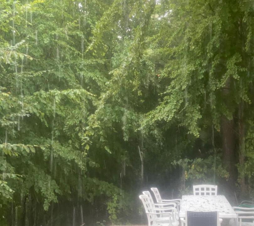 Photo of Others in Razem