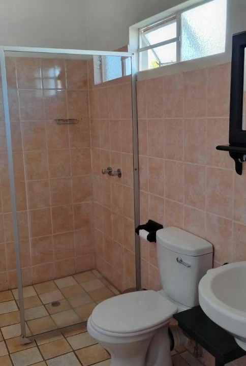 Photo of Bathroom in Greytown