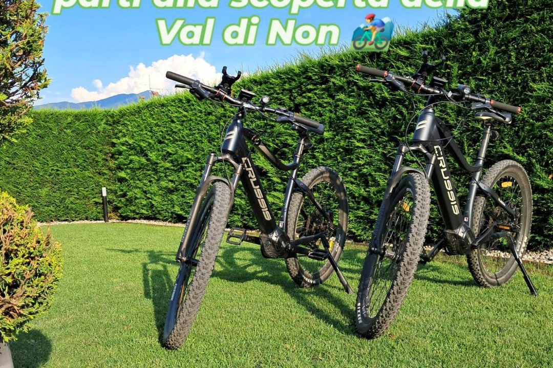 Photo of Outdoor in Tassullo