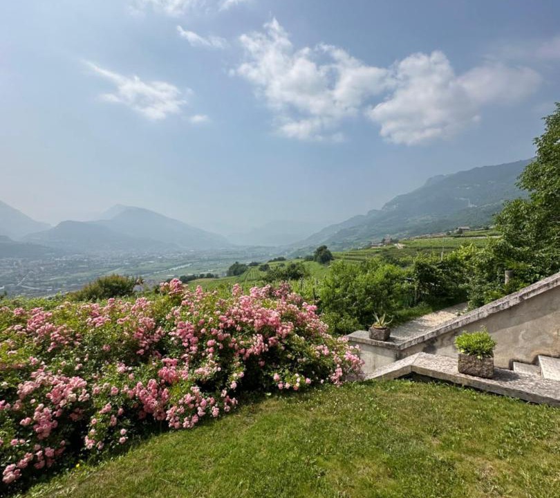 Photo of Others in Villa Lagarina
