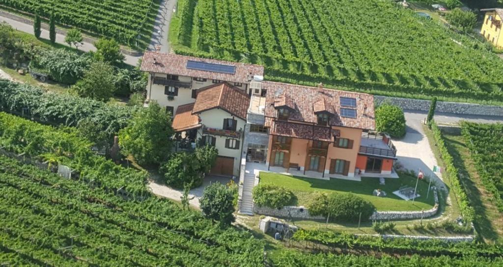 Photo of Others in Villa Lagarina