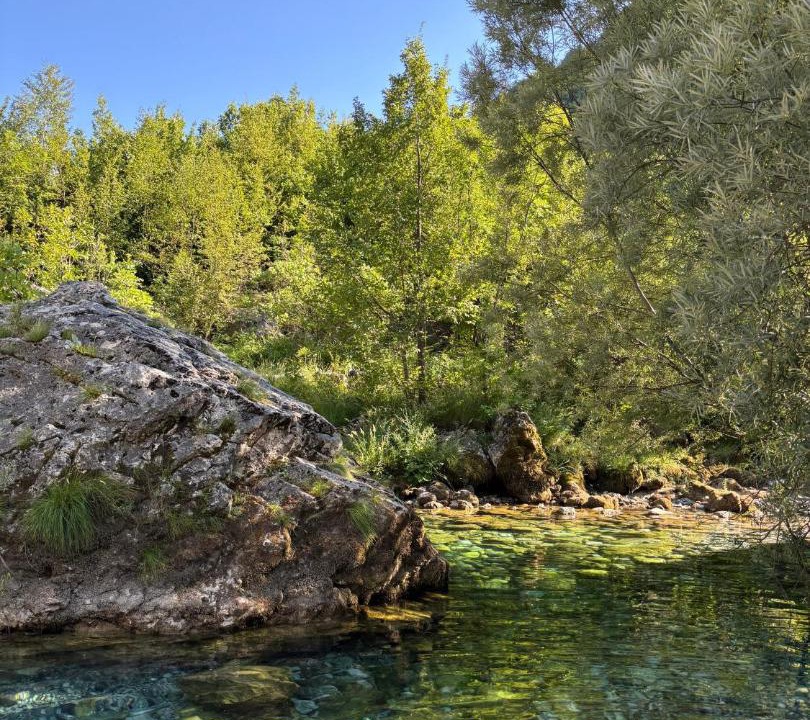 Photo of Others in Shale