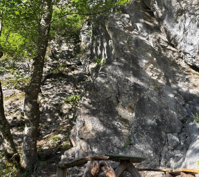 Photo of Others in Shale