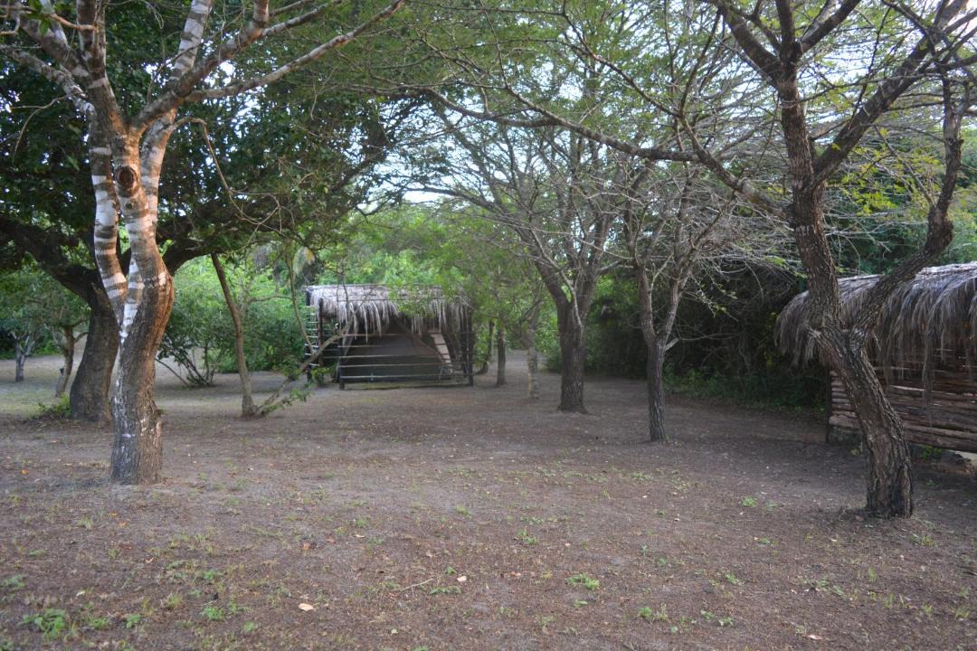 Photo of Others in Sodwana Bay