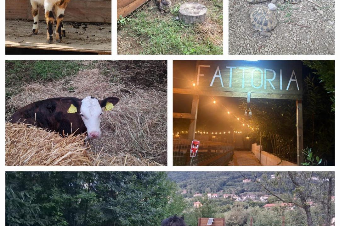 Photo of Others in San Lazzaro