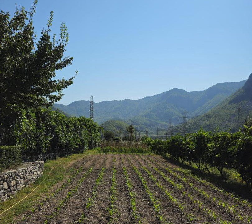Photo of Others in Shkoder County