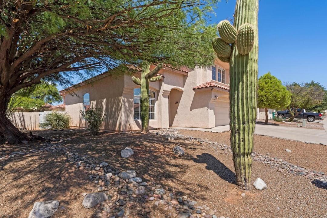 Photo of Others in Oro Valley