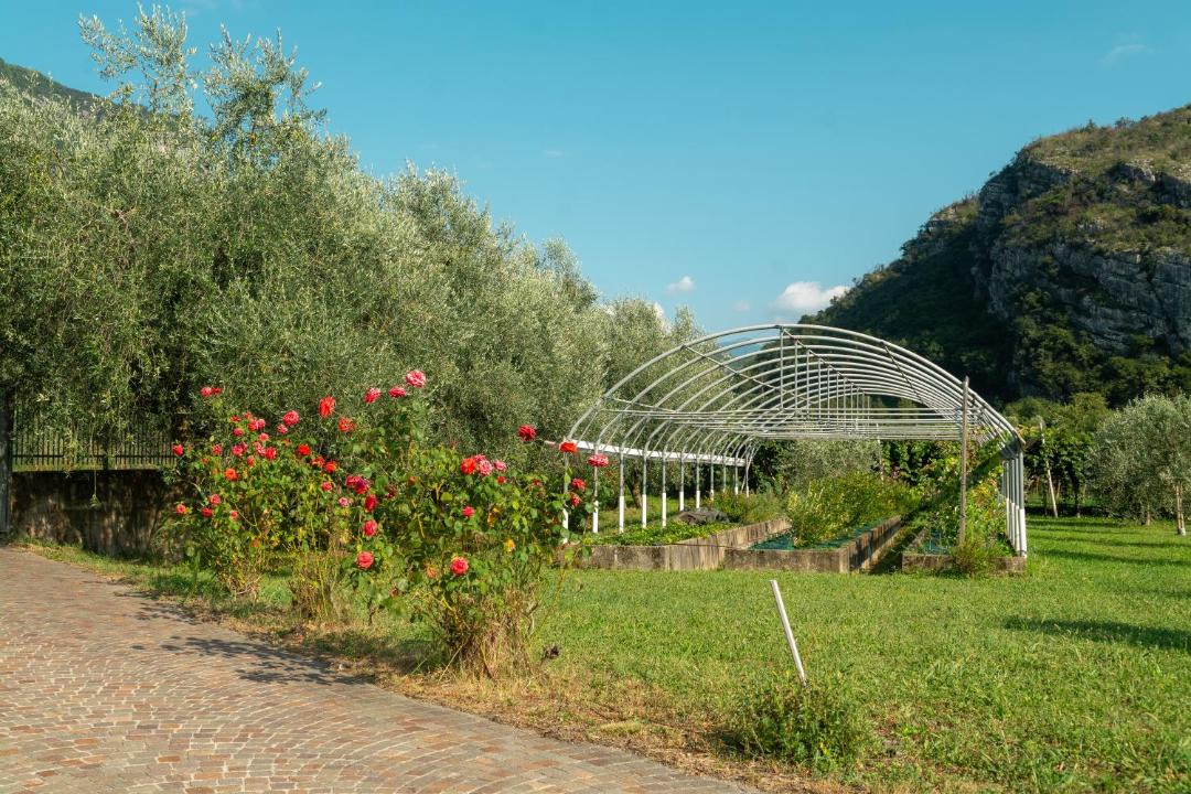 Photo of Others in Nago-Torbole
