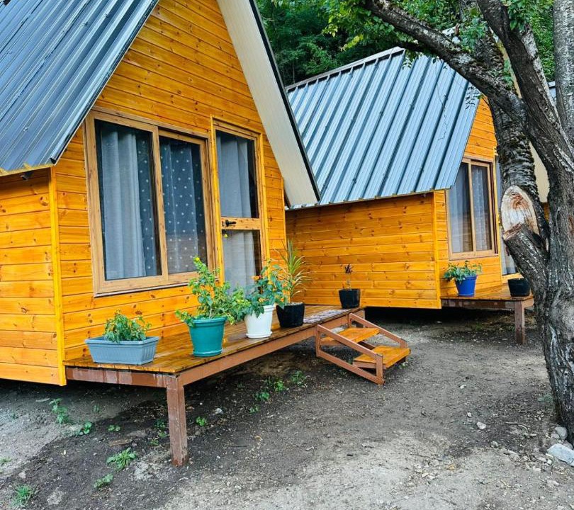 Photo of Others in Shale