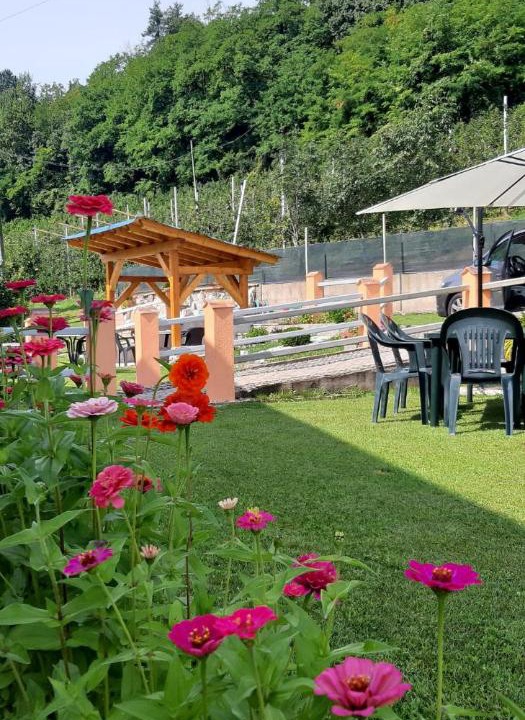 Photo of Outdoor in Casez