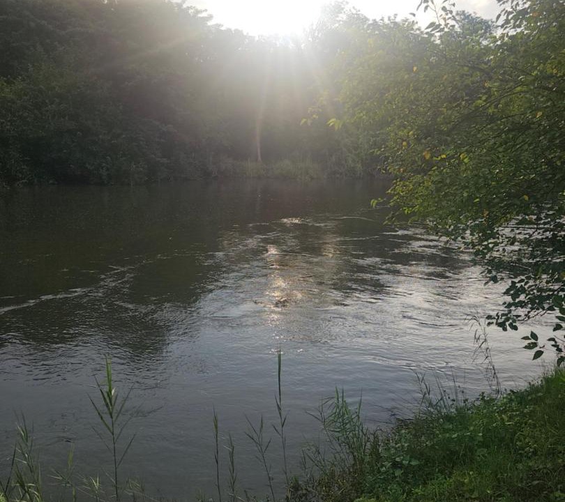 Photo of Others in Albert Falls