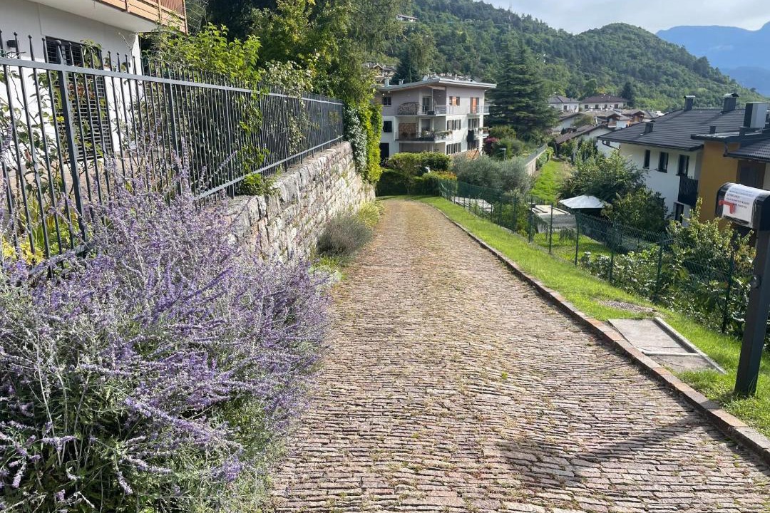 Photo of Others in Martignano