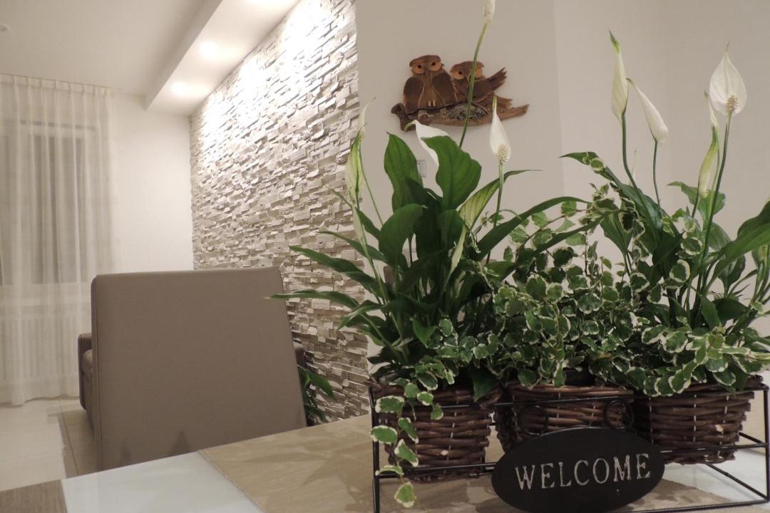 Photo of Others in Levico Terme