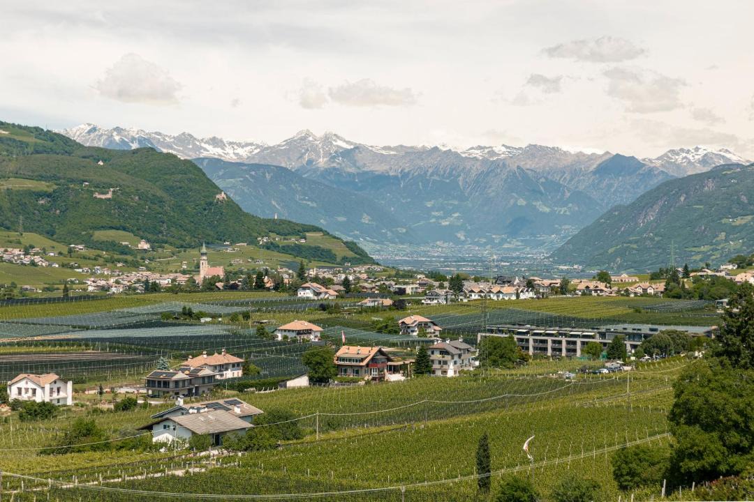 Photo of Others in Appiano Sulla Strada del Vino