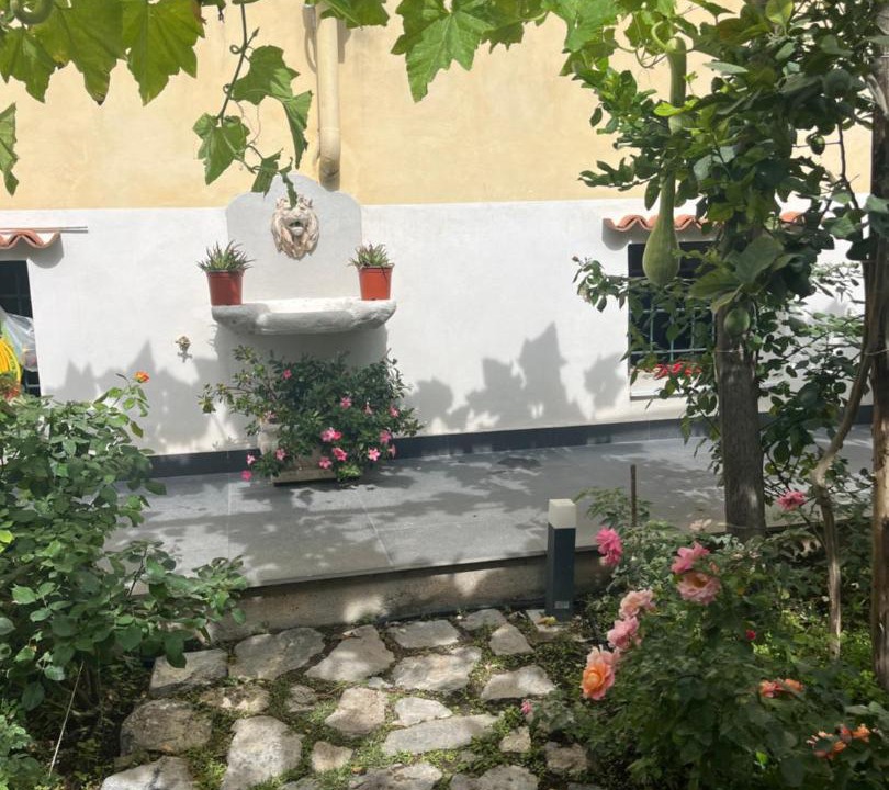 Photo of Others in Minori