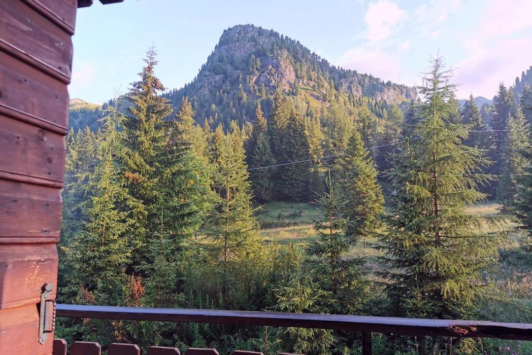 Photo of Others in San Pellegrino Pass