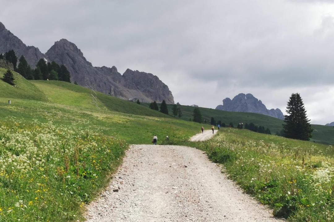 Photo of Others in San Pellegrino Pass
