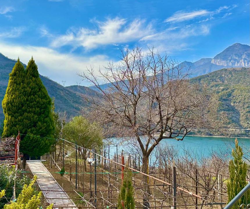 Photo of Others in Koman