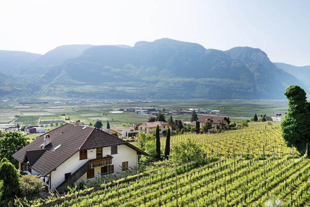 Photo of Others in Tramin