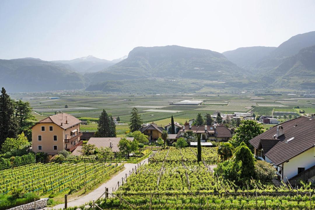 Photo of Others in Tramin