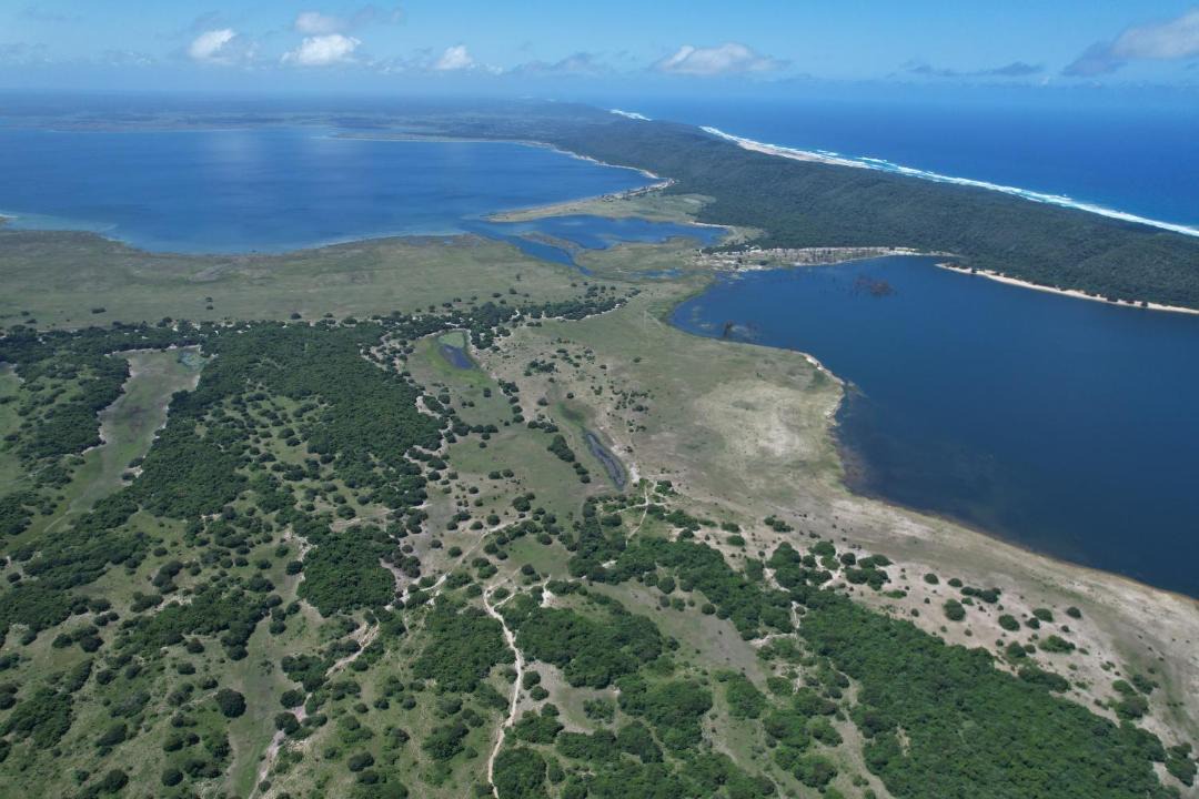 Photo of Others in Sodwana Bay
