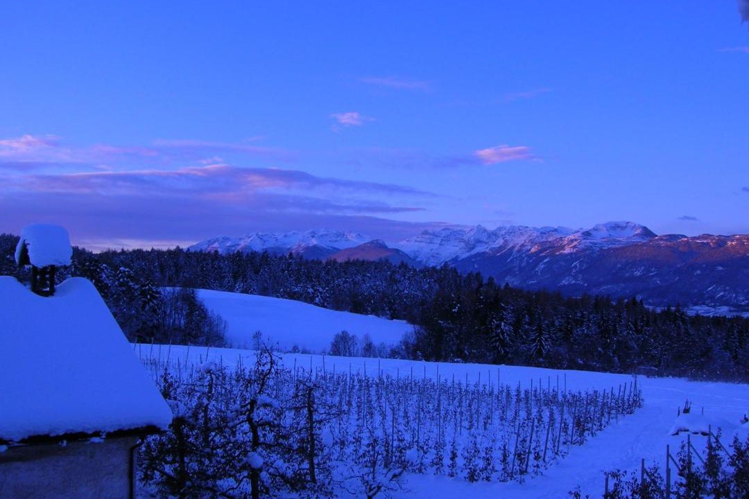 Photo of Outdoor in Romeno